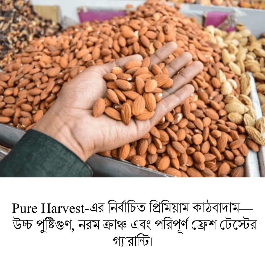 Pure Harvest Almond-Kathbadam (কাঠ বাদাম) – 500gm - Image 5